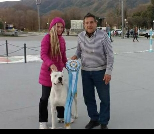 Cría Dogos Argentinos hace 11 años y ganó en competencias mundiales
