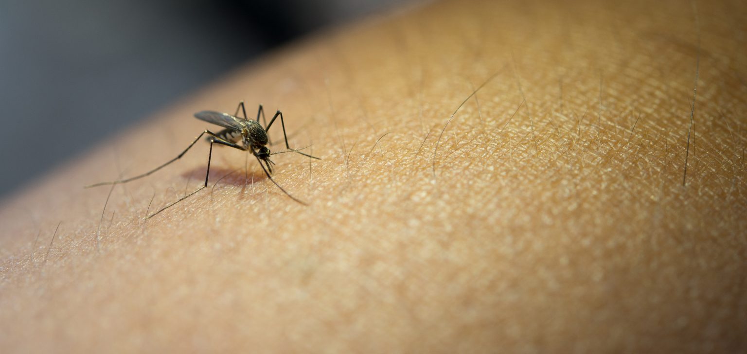 Continúa la fumigación contra el dengue en barrios Villa Argentina, Lavalle, El Panal, Sur y Centro