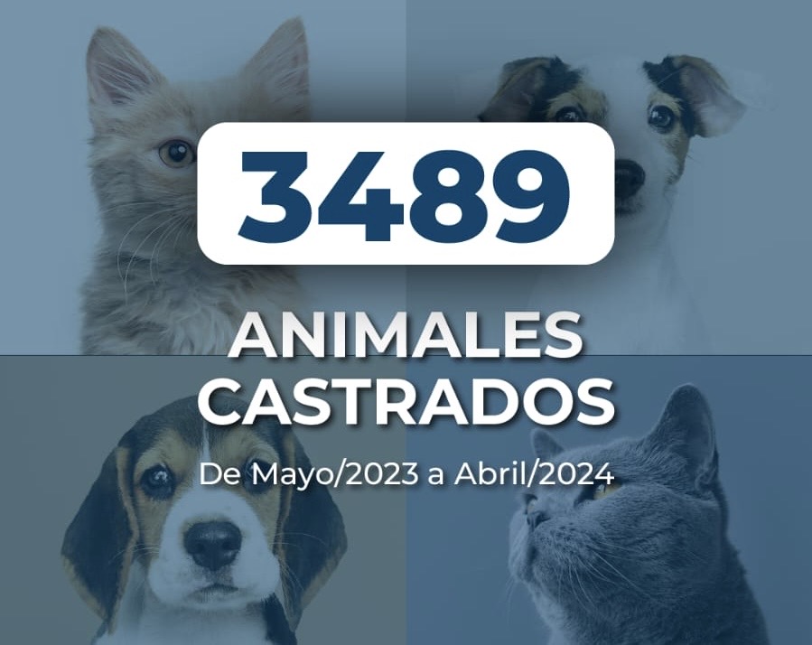 Más de 3400 animales castrados en menos de un año en Marcos Juárez