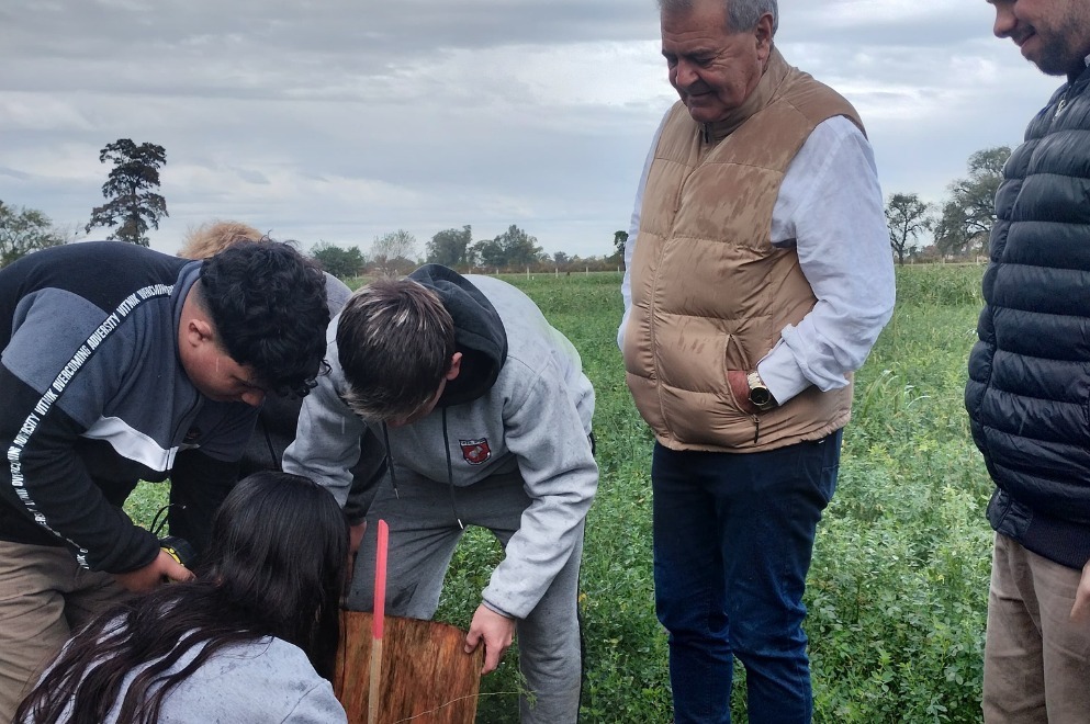 Marcos Juárez: plantan árboles como cortina forestal en el IPEA 209 
