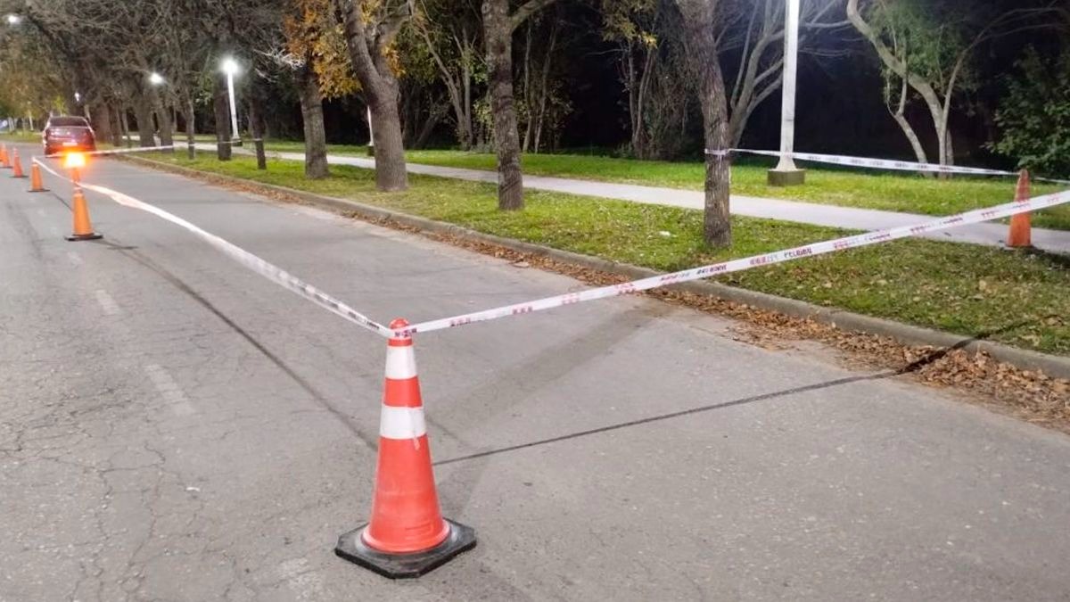 Accidente fatal en Justiniano Posse: una mujer quiso salvar a su perro y murió atropellada