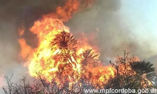 Villa de Pocho: imputan al Presidente de la cooperativa eléctrica por negligencia en la prevención del incendio en la región