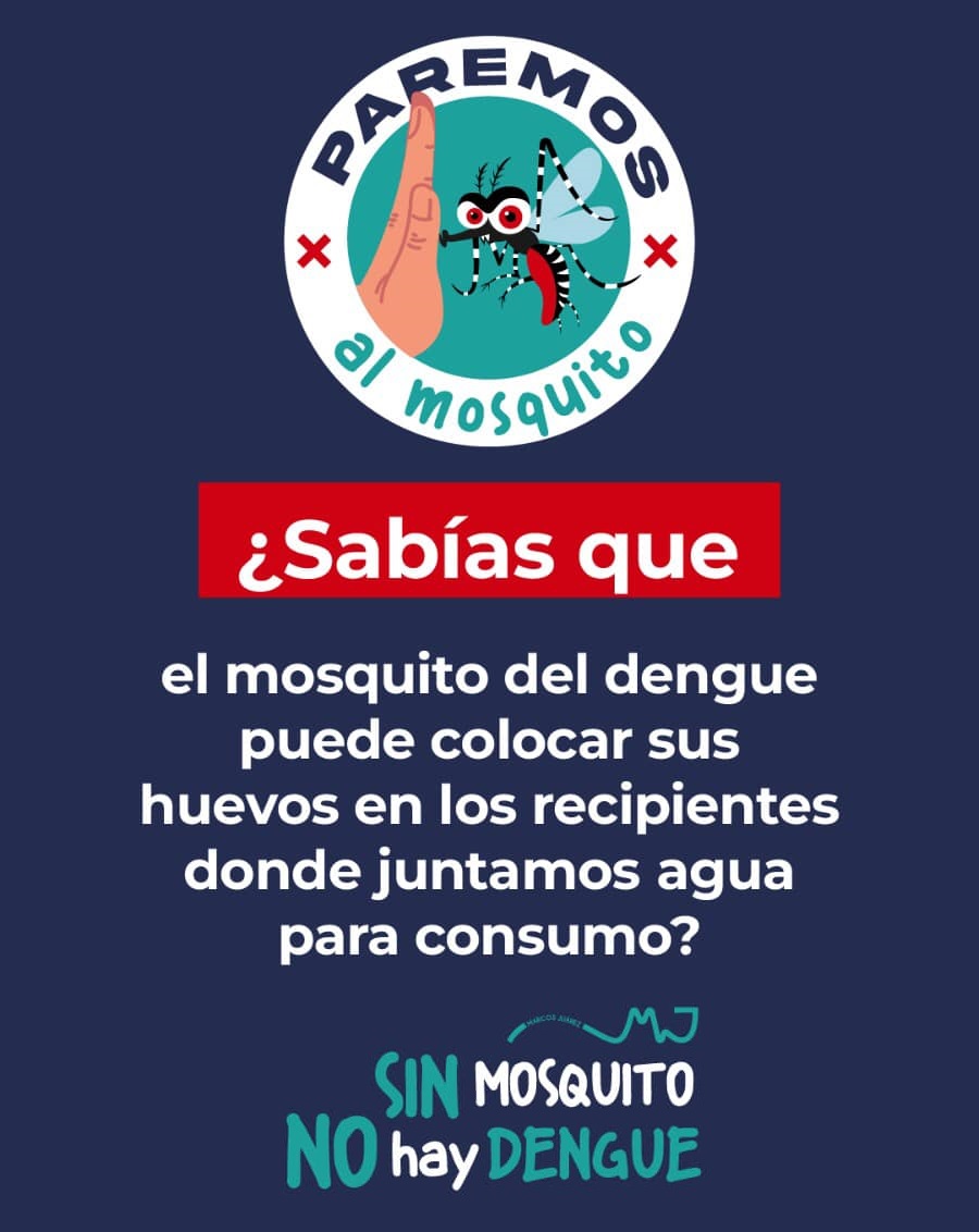 Campaña paremos al mosquito: se colocaron Ovitrampas para controlar la aparición del mosquito