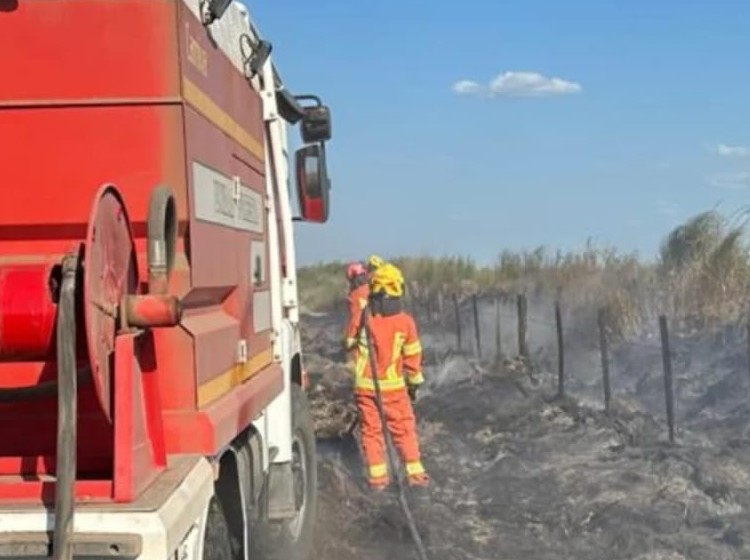 Incendio rural al norte de Marcos Juárez