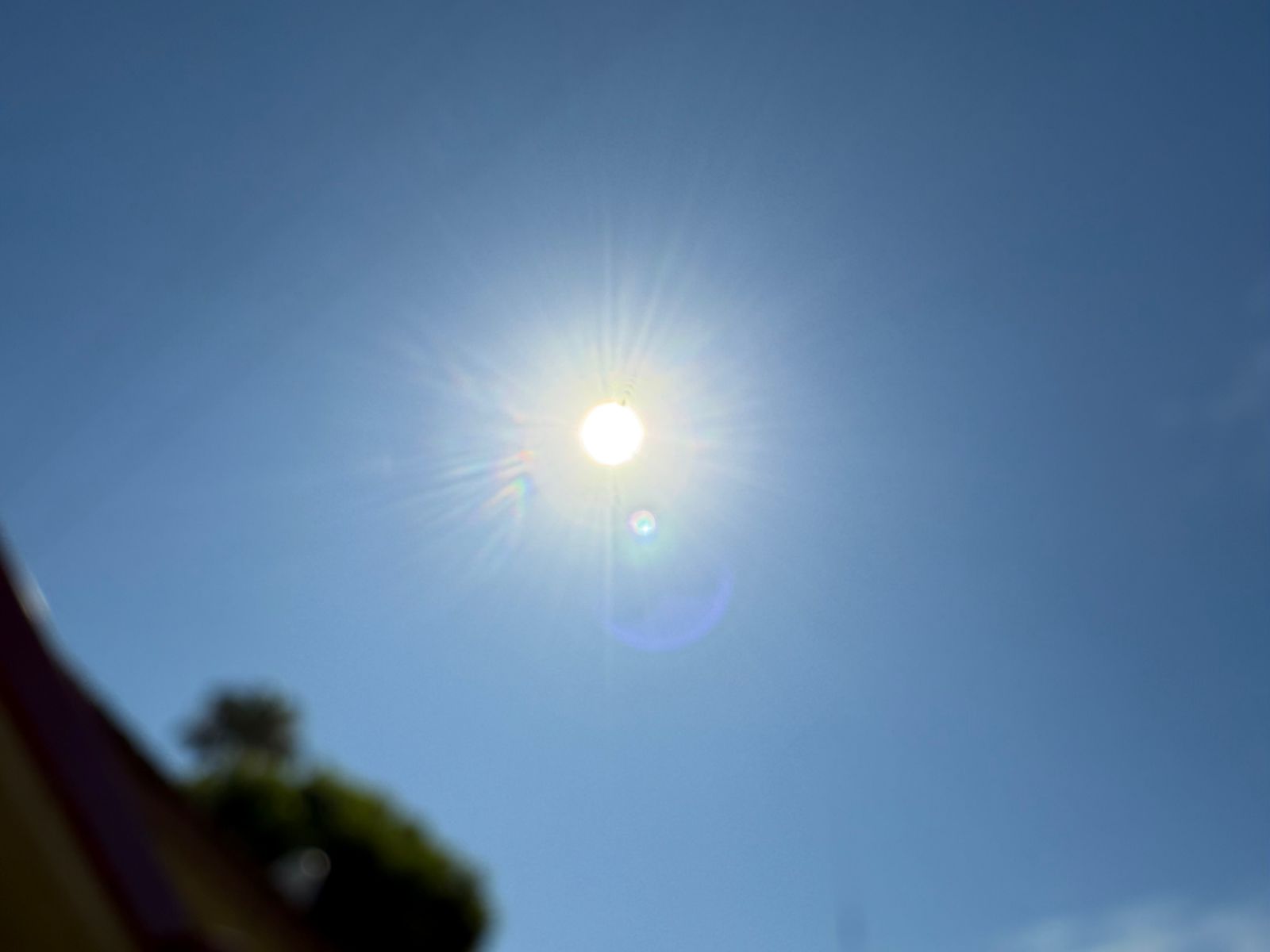 Recomendaciones para afrontar el calor extremo
