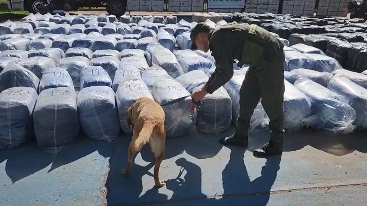 James Craik: hallaron 7 mil kilos de hojas de coca en un camión