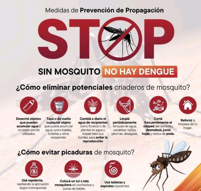 Previenen por el dengue y la temporada alta de mosquitos
