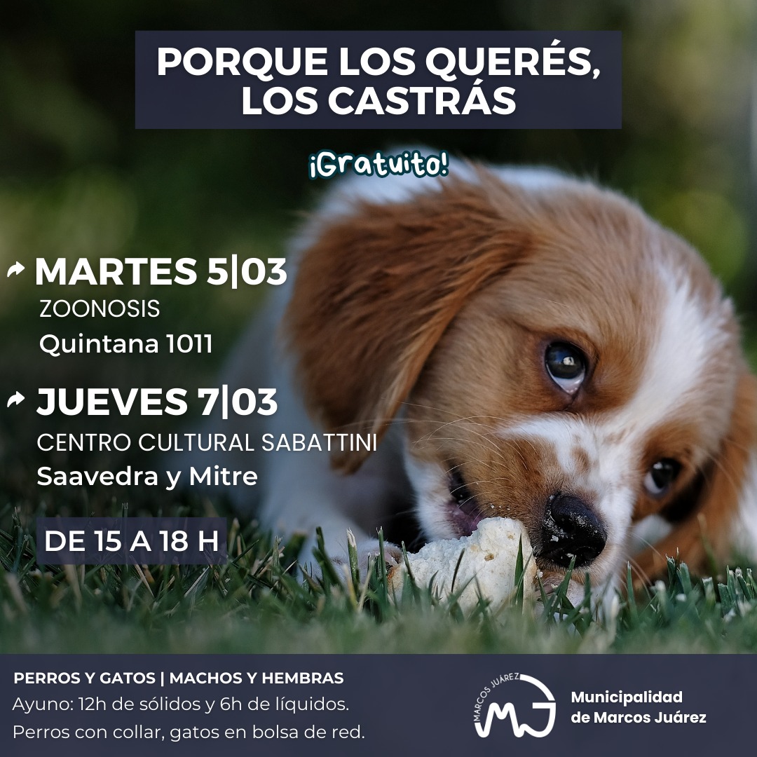Martes 05 y jueves 07 de marzo son las próximas jornadas de castración masiva y gratuita