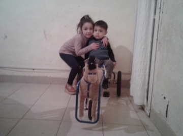 En Cadena Sudeste