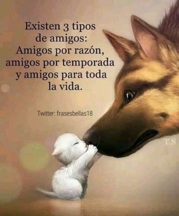 En CADENA SUDESTE los sábados son una FIESTA!!!!!!!!