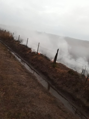 Leones: incendio rural a raíz de una quema controlada