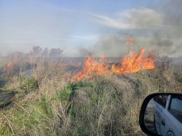 Bomberos de toda la región trabajaron 6 horas en incendio rural al sur de Tortugas
