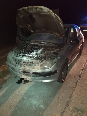Leones: automóvil sufrió principio de incendio en autopista