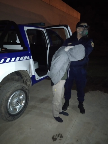 Gral Roca:  9 hombres rompieron un alambrado para pescar en un arroyo y fueron detenidos