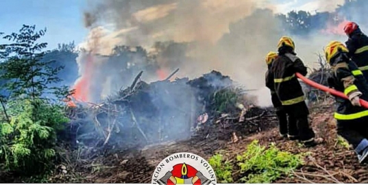 Incendio intencional en predio de parques y paseos 
