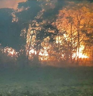 Incendio intencional en predio de parques y paseos 