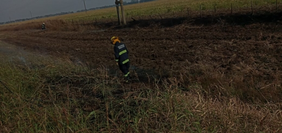 Cable de alta tensión provocó un principio de incendio