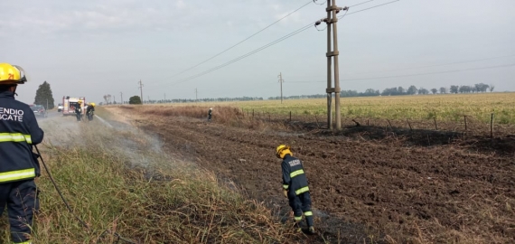 Cable de alta tensión provocó un principio de incendio
