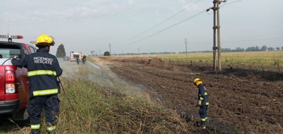 Cable de alta tensión provocó un principio de incendio