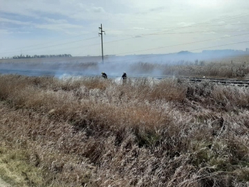 Leones: incendio de pastizales a la orilla de la vías del ferrocarril