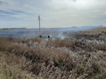 Leones: incendio de pastizales a la orilla de la vías del ferrocarril