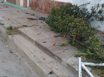Chocó con su auto y arrancó una planta de patrimonio cultural en Armstrong
