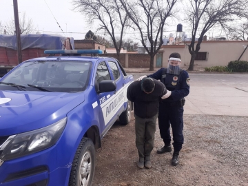 8 Detenidos por cazar con perros galgos en zonas rurales 