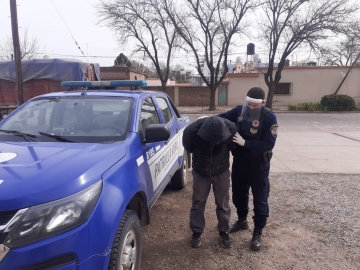 8 Detenidos por cazar con perros galgos en zonas rurales 