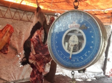 Detenido por faneamiento y comercialización ilegal de 270 kilos de carne
