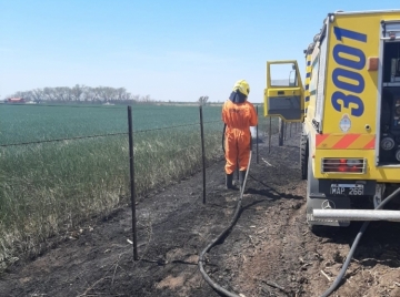 Leones: Se incendiaron lotes de rastrojos de maíz y plantas de trigo