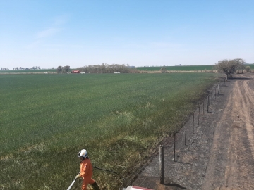 Leones: Se incendiaron lotes de rastrojos de maíz y plantas de trigo