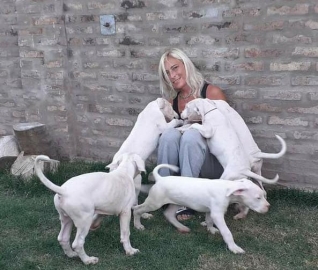 Cría Dogos Argentinos hace 11 años y ganó en competencias mundiales