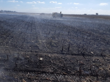 Incendio de 5 hectáreas en Estancia La Lonja
