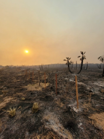 Por los incendios en Córdoba, hay dos muertos y más de 16 mil hectáreas afectadas
