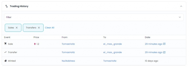 Mercado de criptomonedas: Tomás Holtz y Agustín Egea debutaron exitosamente con su NFT