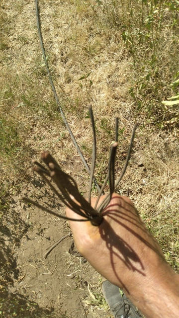 Denuncia la EPEC hechos de vandalismo en la linea de 66 KV de Bell Ville-Villa María
