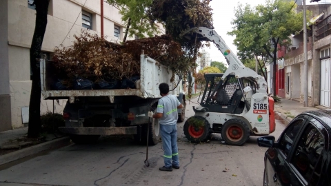 Limpieza en la vía pública tras la tormenta