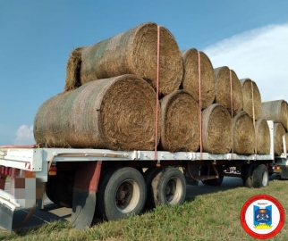 Limpieza en autopista por caída de rollos de pasto