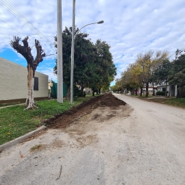 Nueva obra de alumbrado público y cordón cuneta