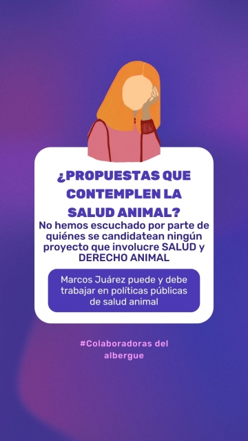 Colaboradoras del Albergue de Marcos Juárez buscan implementar una castración masiva abarcativa