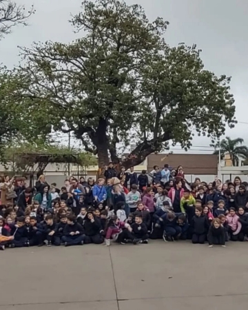 El ombú centenario de la Escuela Bernardino Rivadavia fue declarado árbol histórico de la ciudad 