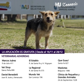 Nuevas fechas Vacunación Antirrábica Canina y Felina 2022 
